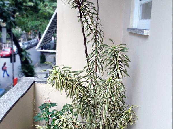 Luiz Leblon Guest House Rio de Janeiro Exteriör bild